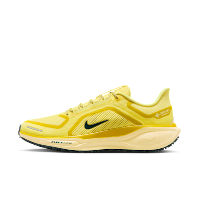 Nike Pegasus 41 GORE-TEX