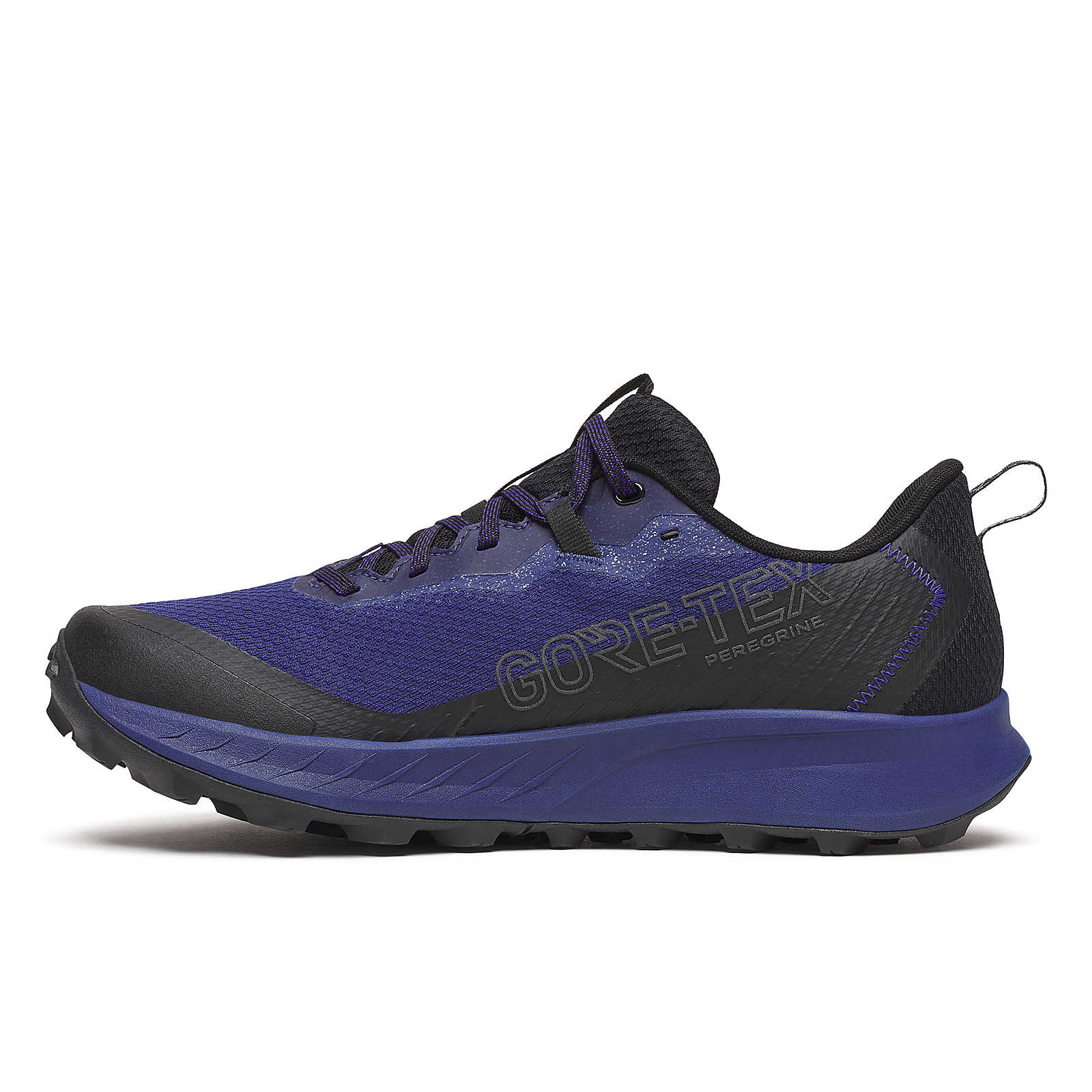 Homme Peregrine 15 GTX